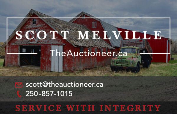 TheAuctioneer.ca